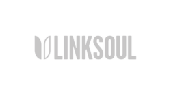 Linksoul Logo